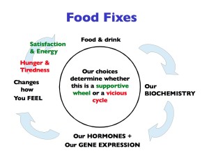Food Fixes