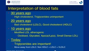 Prof Ken Sikaris - Interpretation Of Blood Fats